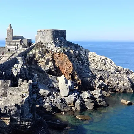 Anima Di Mare